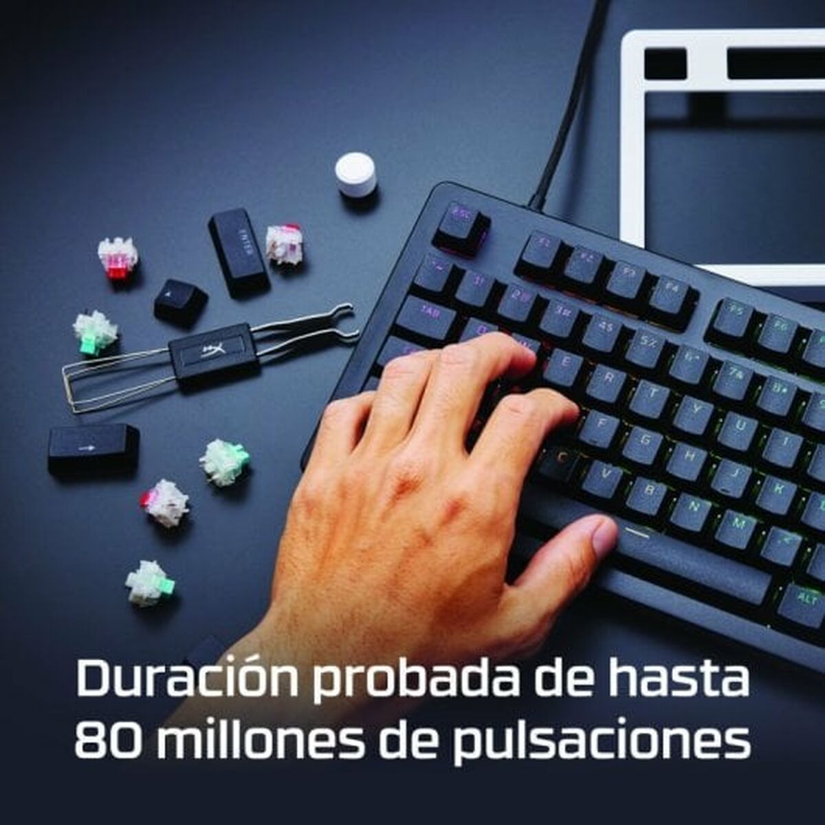 V4H9E67EBCA30C164A52324451B97458DABR5349539P4