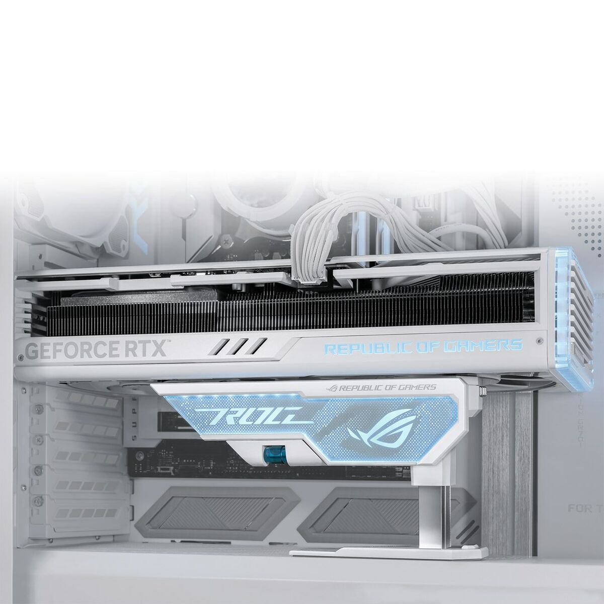 V4H2A20504D2444610A1EE1F77EDDCCFE28R5530200P10