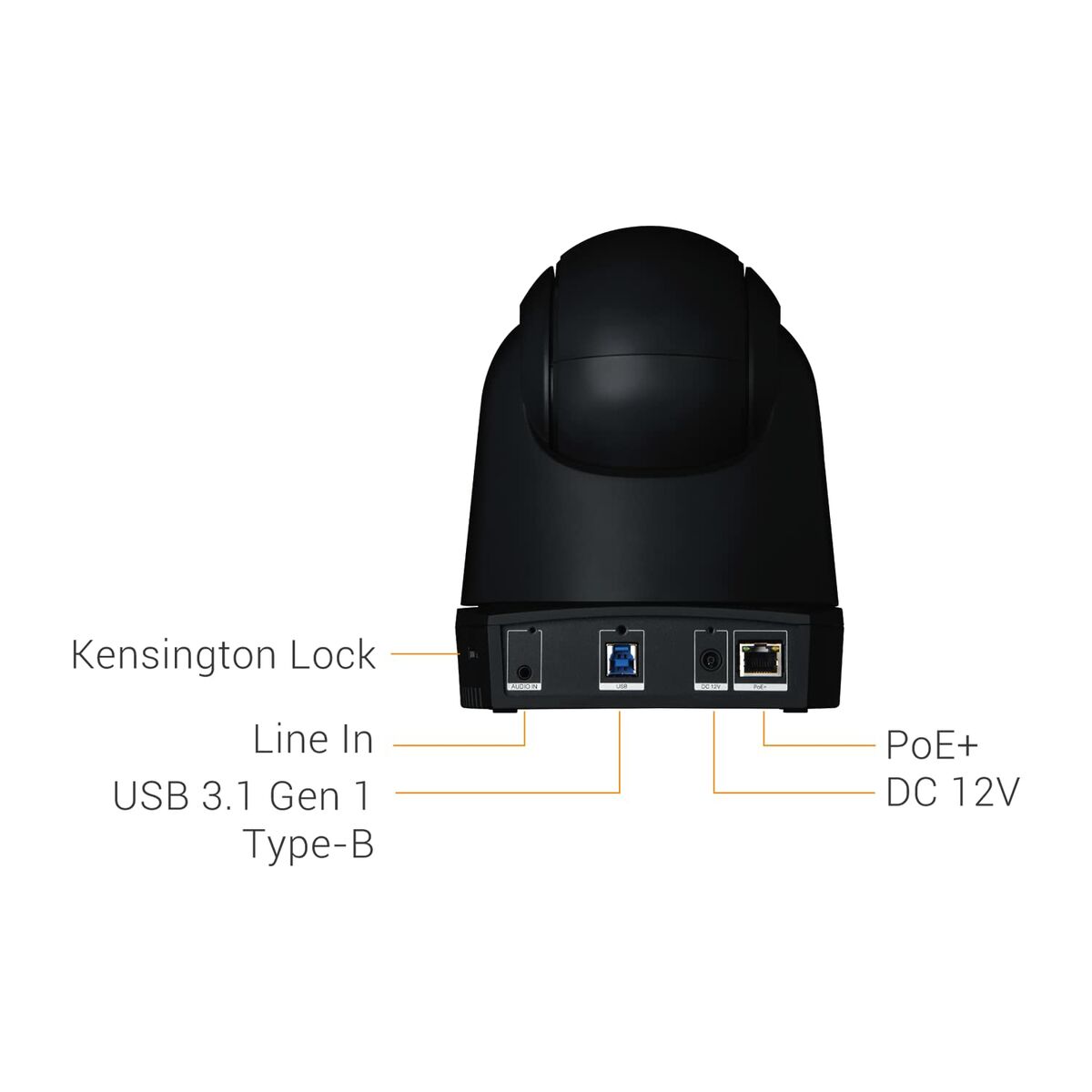 V8HF8CDB80B9436659F6663A98EF49A75F2R4781650P2