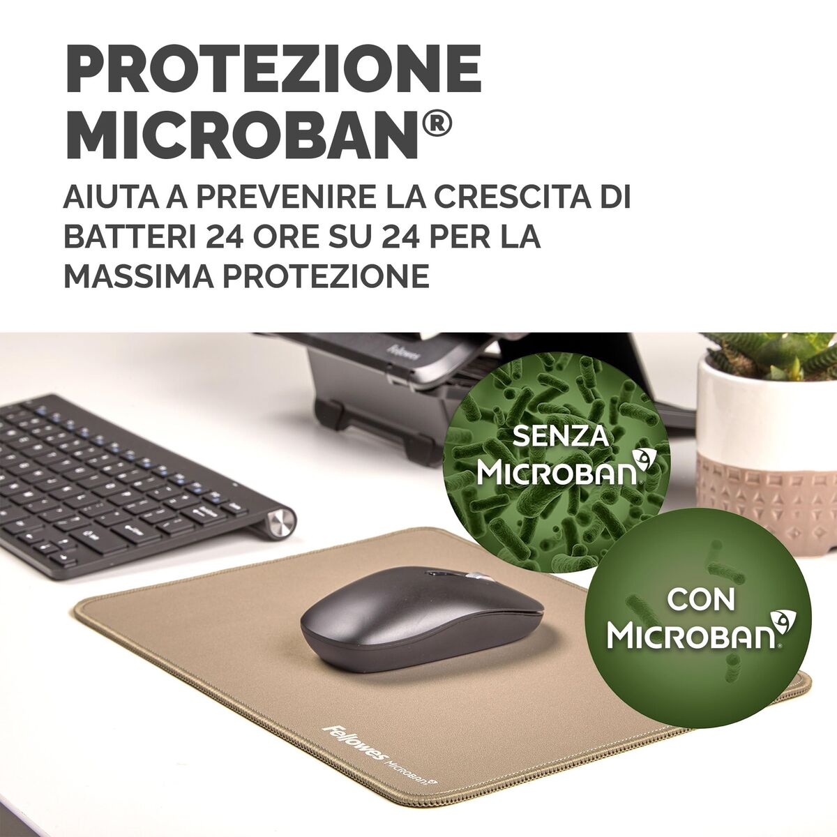 V2H1CE36CF7F9AB5DD8CE8546D03C8DB47DR7597938P6