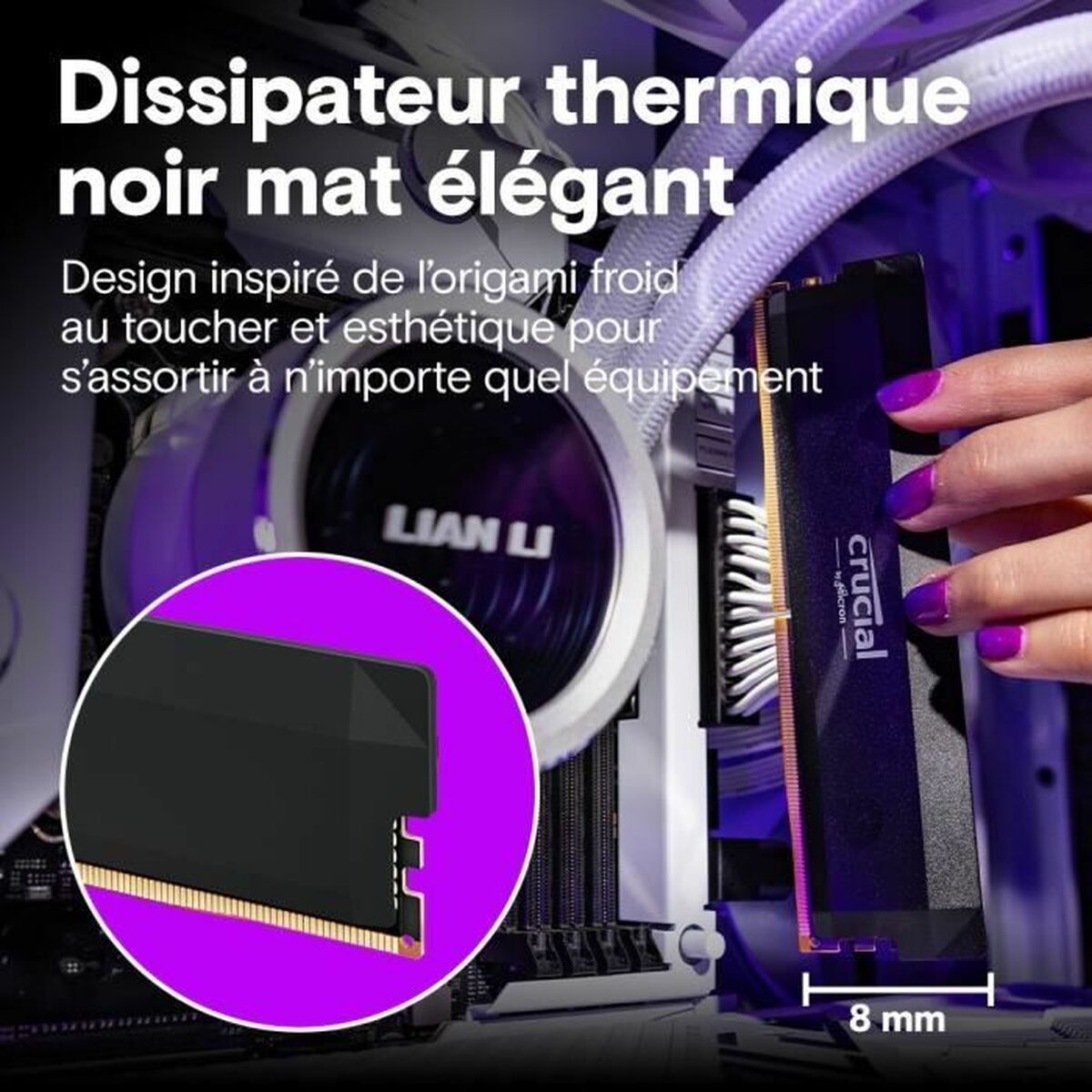 V6HC5F979FE3E85D0D35211311A38168C1ER6613616P4