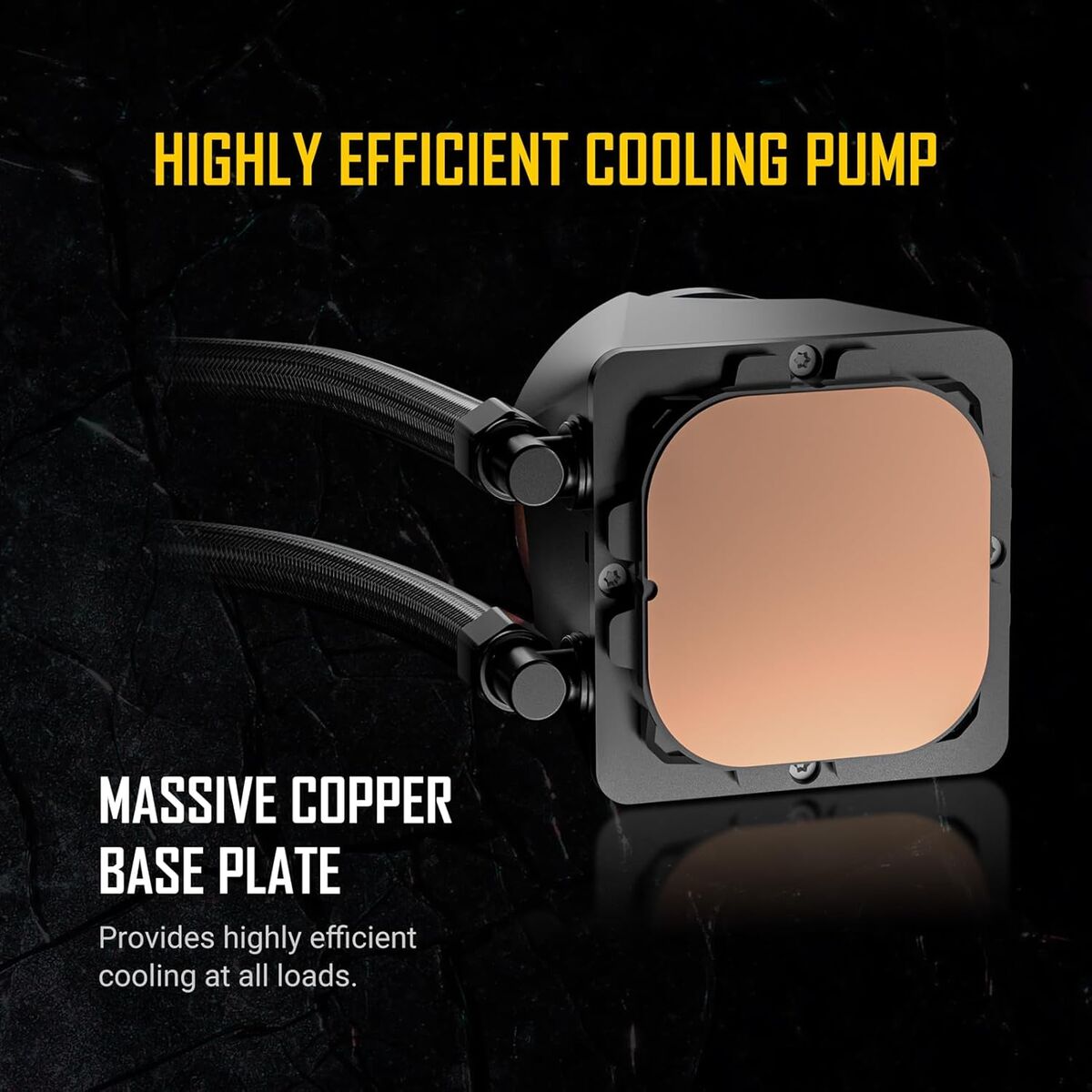 V2H01E67DE1DD61B556665A649D1B2EE033R7471743P4