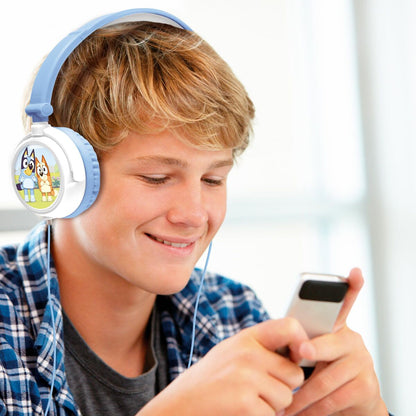 V2HAE0F12C31433FEBDE05EDEF5BE7CE8A2R7467879P3