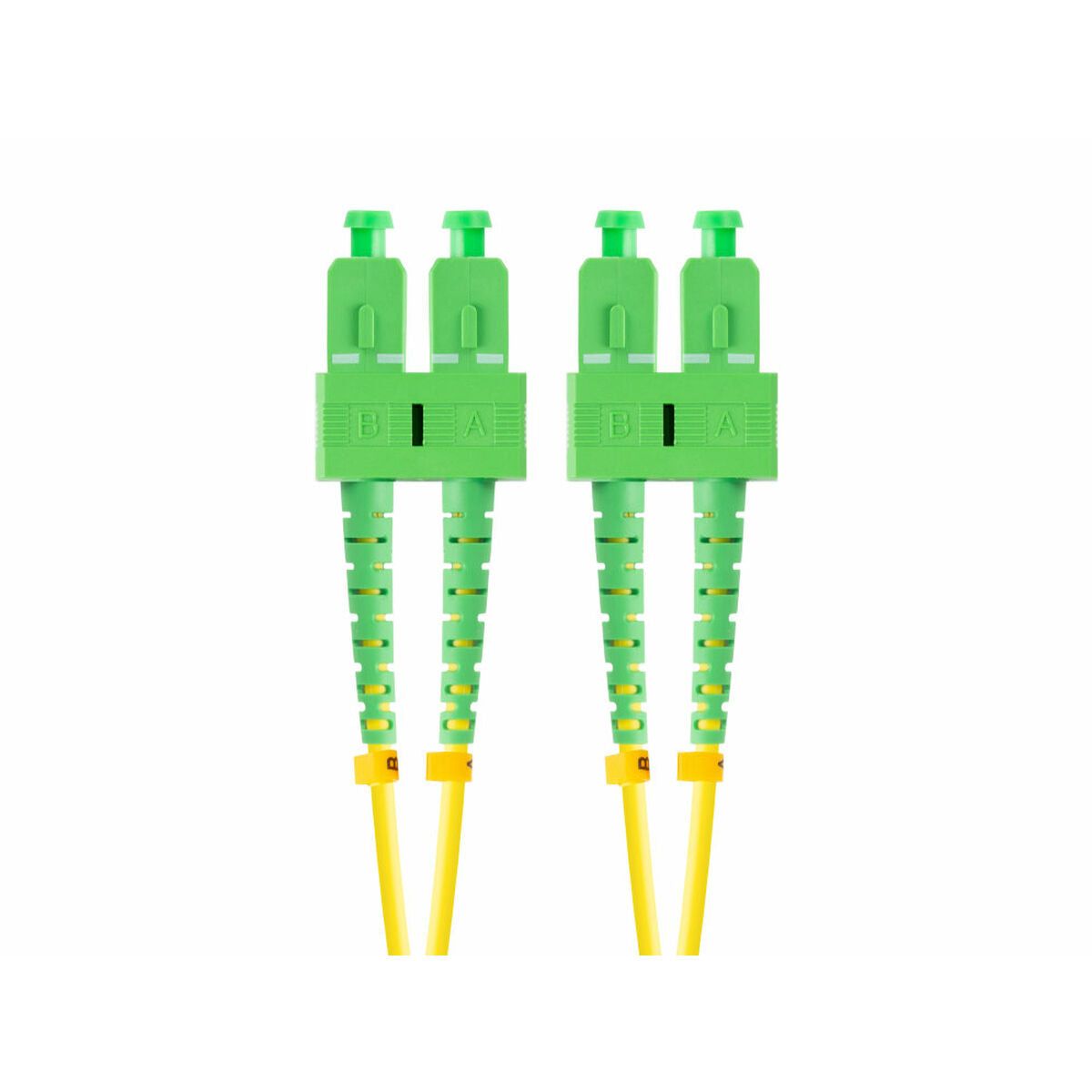 V8HAC73685BB7AB467CAA84986466F4AE03R4958382P1